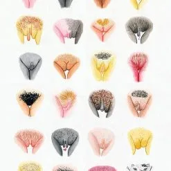 The Vulva Gallery | Art Print