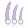CalExotics 3-delige Dilatorset | Set -BODY & HEALTH Verkoop 13547 PURPLE 01