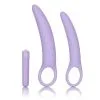 CalExotics Dilator Set Met Vibrerende Bullet -BODY & HEALTH Verkoop 13548 PURPLE 01