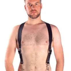 Mister B Harness