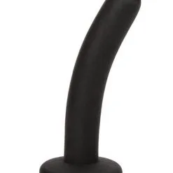 Mail & Female Back Door | Pegging Probe