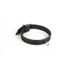 King Kink Leather | Smalle Collar | 2.5 Cm Breed 2 King Kink Leather | Smalle Collar | 2.5 Cm Breed -BODY & HEALTH Verkoop 613Leather collar