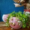 House Of Daan | Boobie Planter