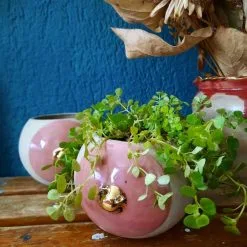 House Of Daan | Boobie Planter