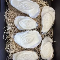 Mail & Female Vulva In Oesterschelp | Geurkaarsen