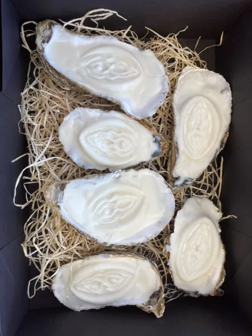 Mail & Female Vulva In Oesterschelp | Geurkaarsen -BODY & HEALTH Verkoop oesters