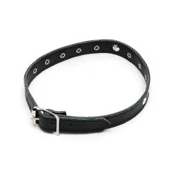 King Kink Leren Halsbandje Met Studs 7 King Kink Leren Halsbandje Met Studs -BODY & HEALTH Verkoop rimba collar 15 cm wide decorated with dome studs 1