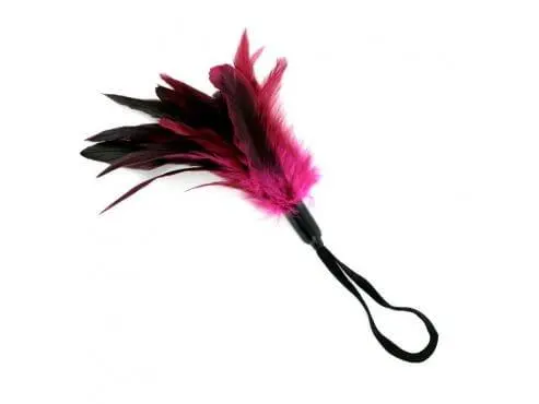 Mail & Female Little Tickler 3 Mail & Female Little Tickler